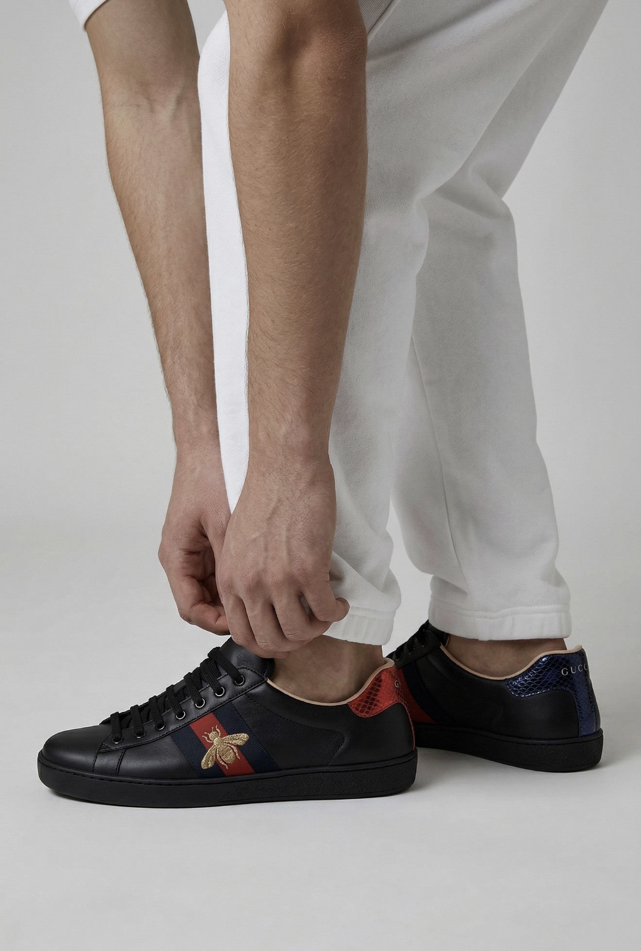 baskets-ace-bande-web-abeille-brodee-gucci